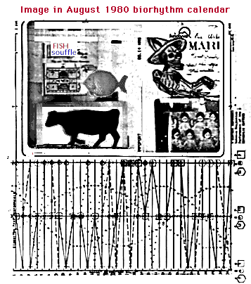 biorhythm plot